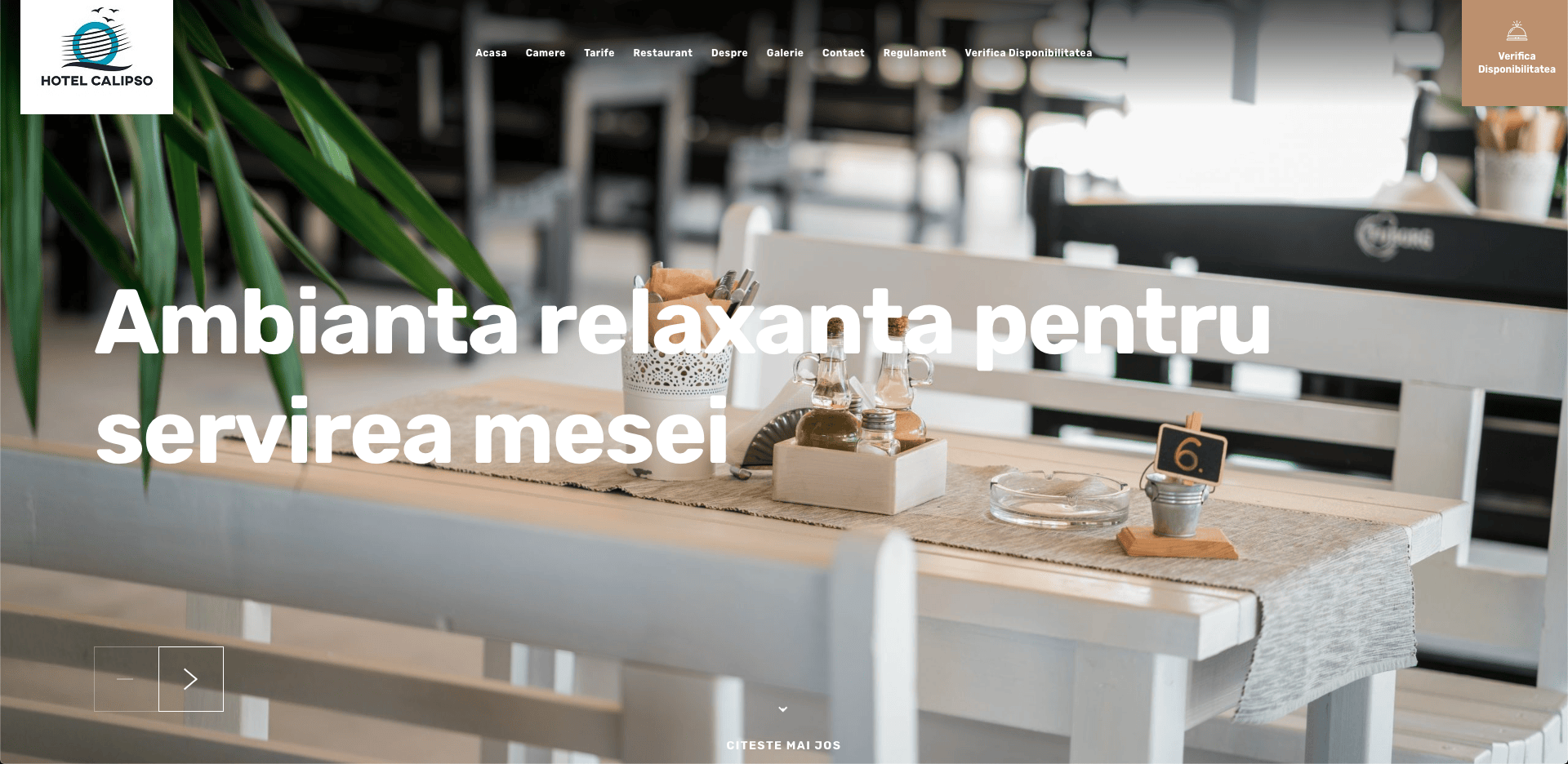 Single Image